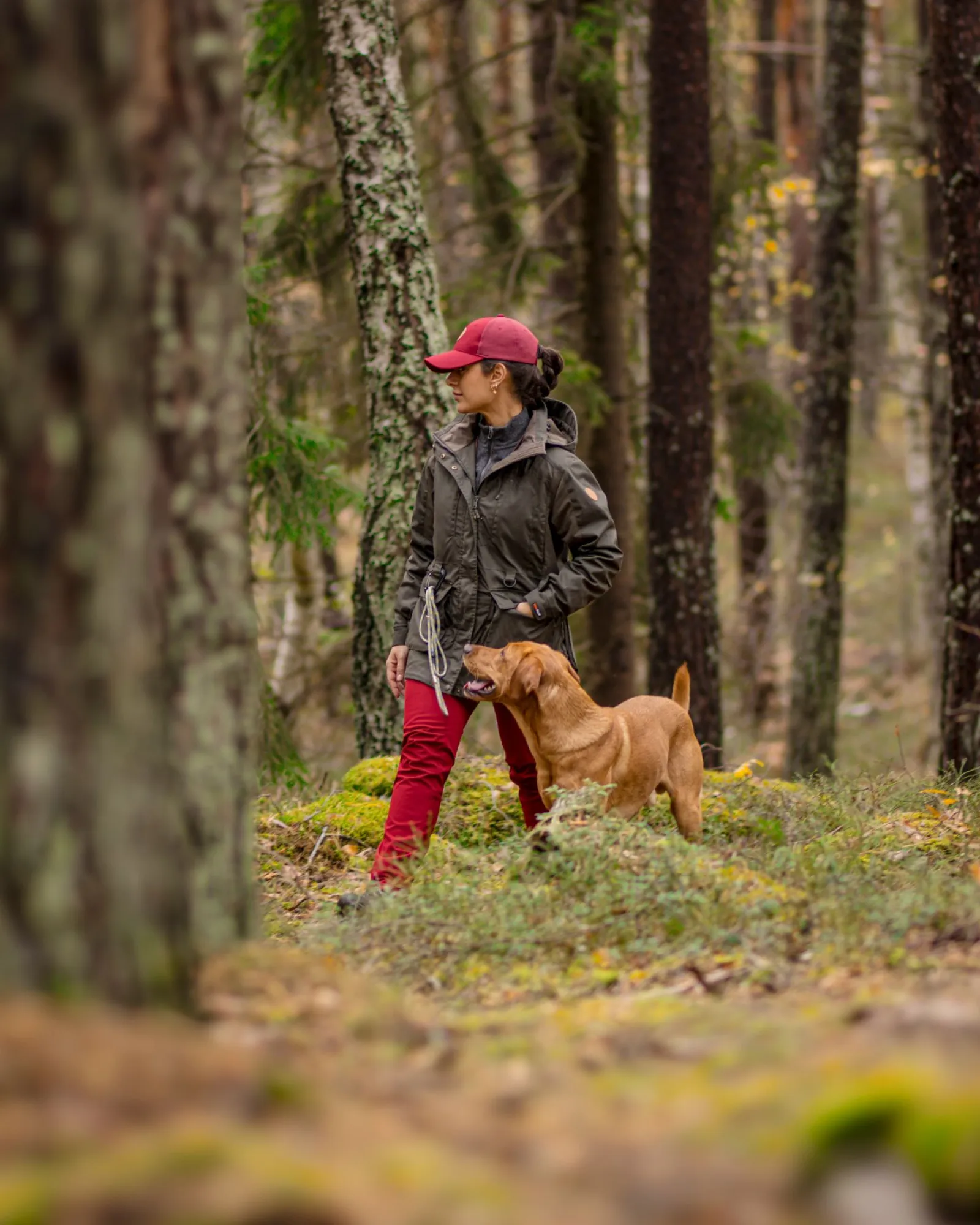 Pinewood® Dog Sports Trainer Extreme Jacka Dam / Moss Green - Image 9